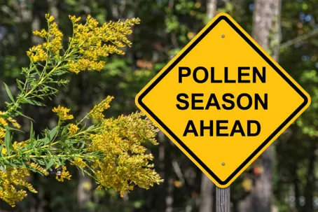 A roadside yellow sign warns of pollen season ahead.