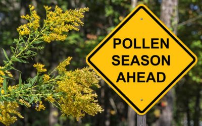 Breathing Easy: Enhancing Indoor Air Quality During Allergy Season
